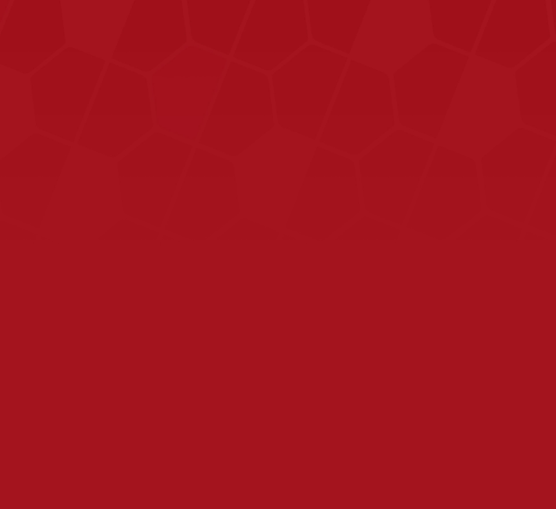 section-pattern-red